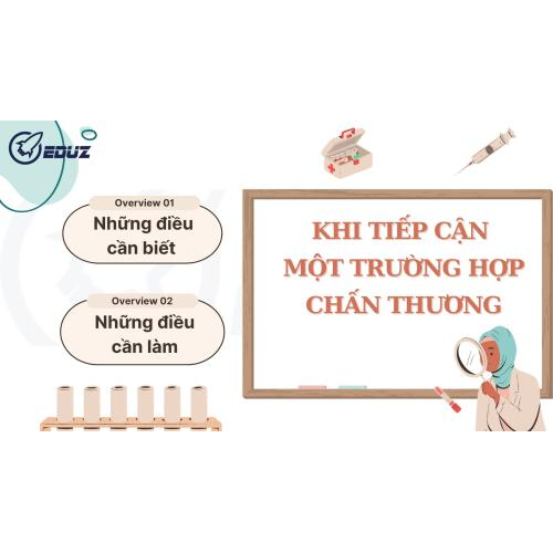 1. Giới thiệu chung